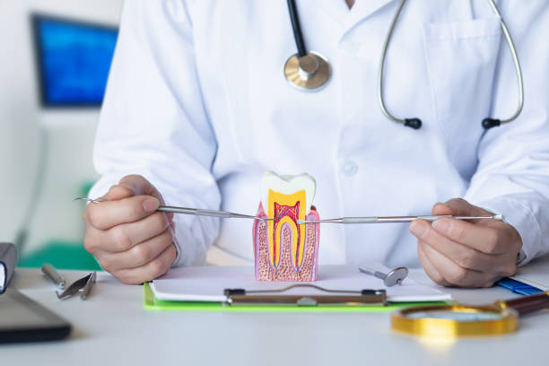 Best Chipped Tooth Repair Near Me  in Mccall, ID